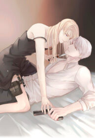 Cover 105294