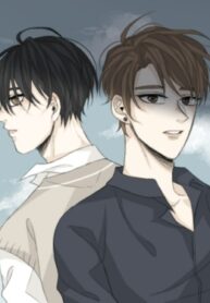 Cover 105340