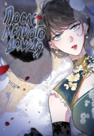 Cover 105374