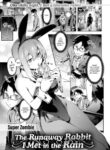 Cover 105382