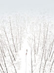 Cover 105448