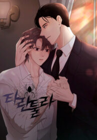 Cover 105532