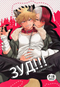 Cover 105641