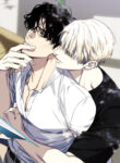 Cover 105953