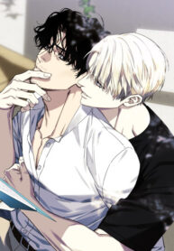 Cover 105953
