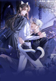 Cover 106003