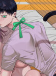 Cover 106065