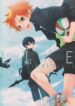 Cover 106380