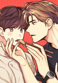 Cover 18703