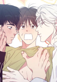 Cover 19010