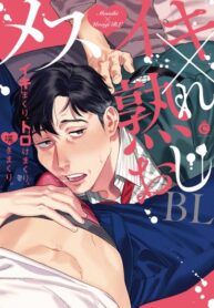 Cover 19041