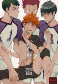 Cover 20056