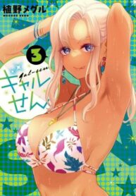 Cover 20484