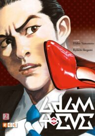 Cover 20527