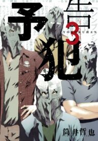 Cover 20530