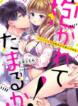 Cover 20550