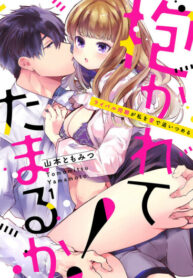 Cover 20550