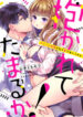 Cover 20550
