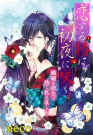 Cover 20670