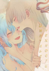 Cover 20738