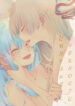 Cover 20738