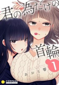 Cover 20906