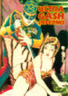 Cover 20917