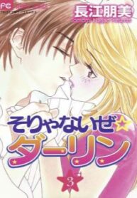 Cover 20941