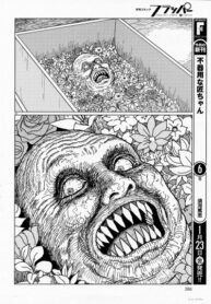 Cover 21072