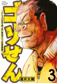 Cover 21104