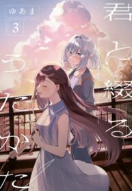 Cover 21234