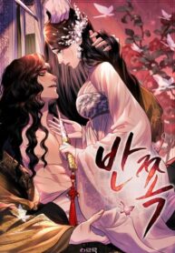 Cover 21235