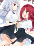 Cover 21310