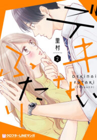 Cover 21325