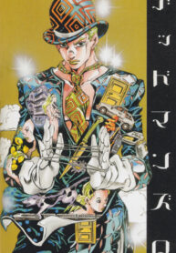 Cover 21333