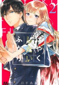 Cover 21358