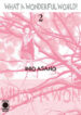 Cover 21366
