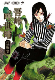 Cover 21369