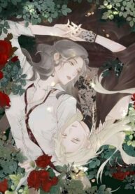 Cover 21455