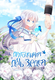 Cover 21550