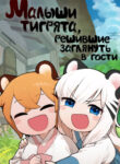 Cover 21556