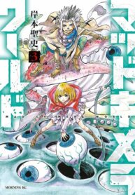 Cover 21678