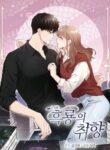 Cover 21696
