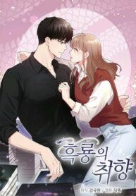 Cover 21696