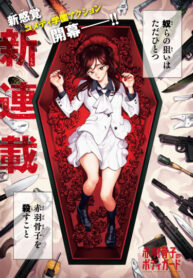 Cover 21724