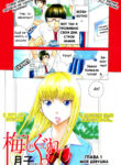 Cover 21806