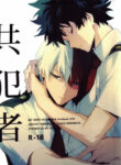 Cover 22028