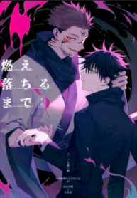 Cover 22051