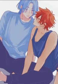 Cover 22056