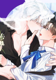 Cover 22060